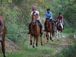 Tiffany galloping